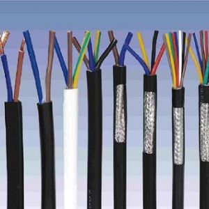 ������|����|���N��е�һ�N��ʲô�ǿ�����|��